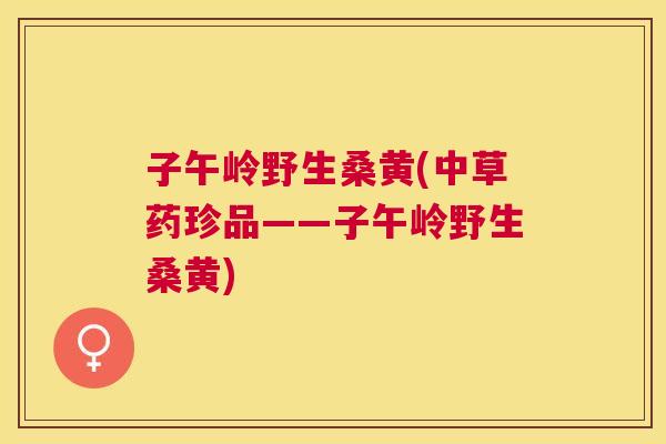 子午岭野生桑黄(中草药珍品——子午岭野生桑黄) 子午岭野生桑黄(中草药珍品——子午岭野生桑黄)