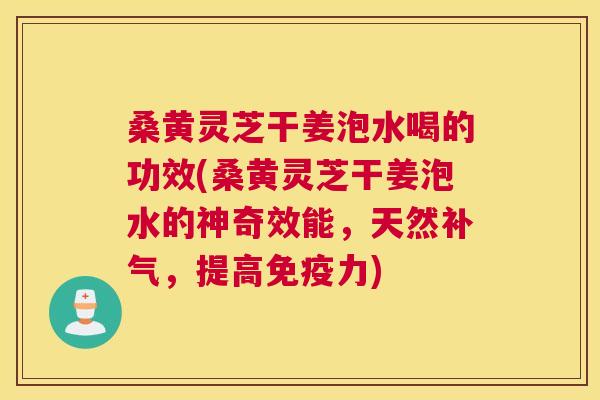 桑黄灵芝干姜泡水喝的功效(桑黄灵芝干姜泡水的神奇效能,天然,提高力) 桑黄灵芝干姜泡水喝的功效(桑黄灵芝干姜泡水的神奇效能,天然,提高力)