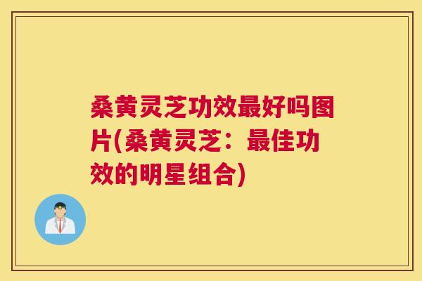 桑黄灵芝功效好吗图片(桑黄灵芝:佳功效的明星组合) 桑黄灵芝功效好吗图片(桑黄灵芝:佳功效的明星组合)