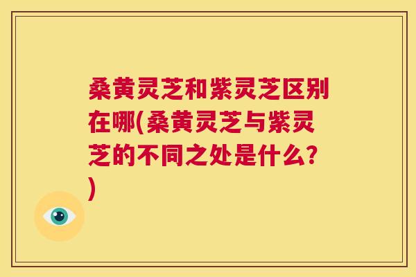 桑黄灵芝和紫灵芝区别在哪(桑黄灵芝与紫灵芝的不同之处是什么?) 桑黄灵芝和紫灵芝区别在哪(桑黄灵芝与紫灵芝的不同之处是什么?)