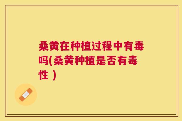 桑黄在种植过程中有毒吗(桑黄种植是否有毒性 ) 桑黄在种植过程中有毒吗(桑黄种植是否有毒性 )