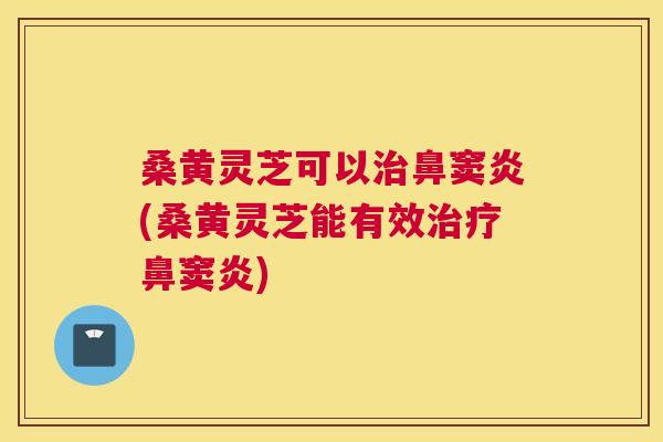 桑黄灵芝可以鼻窦炎(桑黄灵芝能有效鼻窦炎) 桑黄灵芝可以鼻窦炎(桑黄灵芝能有效鼻窦炎)