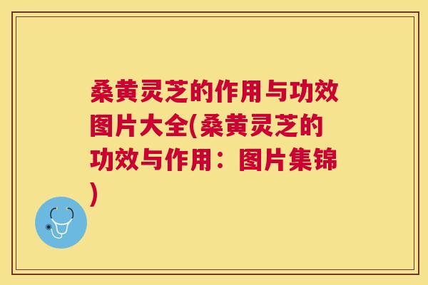 桑黄灵芝的作用与功效图片大全(桑黄灵芝的功效与作用:图片集锦) 桑黄灵芝的作用与功效图片大全(桑黄灵芝的功效与作用:图片集锦)