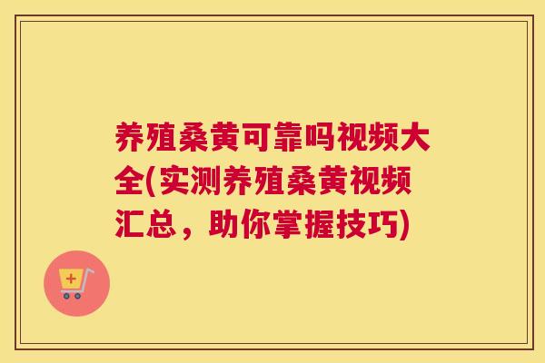 养殖桑黄可靠吗视频大全(实测养殖桑黄视频汇总，助你掌握技巧)