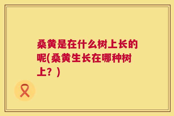 桑黄是在什么树上长的呢(桑黄生长在哪种树上?) 桑黄是在什么树上长的呢(桑黄生长在哪种树上?)