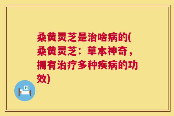 桑黄灵芝是啥的(桑黄灵芝:草本神奇,拥有多种的功效) 桑黄灵芝是啥的(桑黄灵芝:草本神奇,拥有多种的功效)