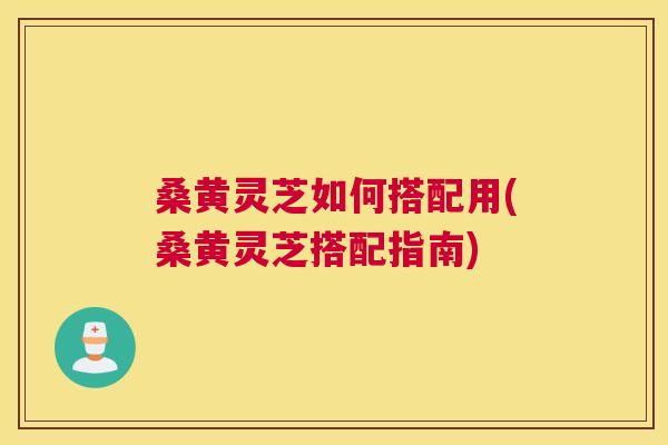 桑黄灵芝如何搭配用(桑黄灵芝搭配指南)