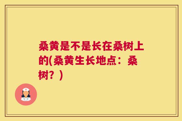 桑黄是不是长在桑树上的(桑黄生长地点:桑树?) 桑黄是不是长在桑树上的(桑黄生长地点:桑树?)