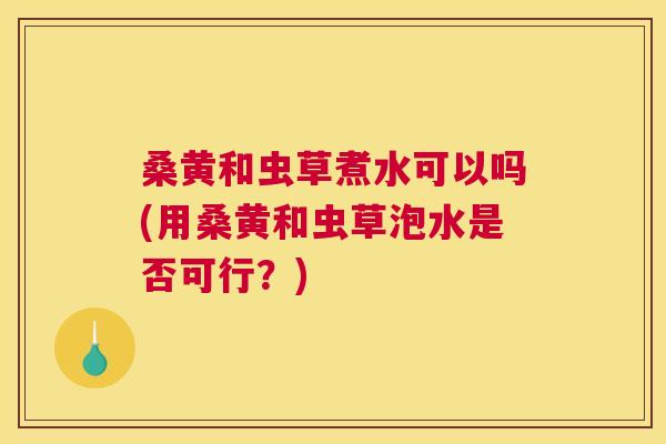 桑黄和虫草煮水可以吗(用桑黄和虫草泡水是否可行?) 桑黄和虫草煮水可以吗(用桑黄和虫草泡水是否可行?)