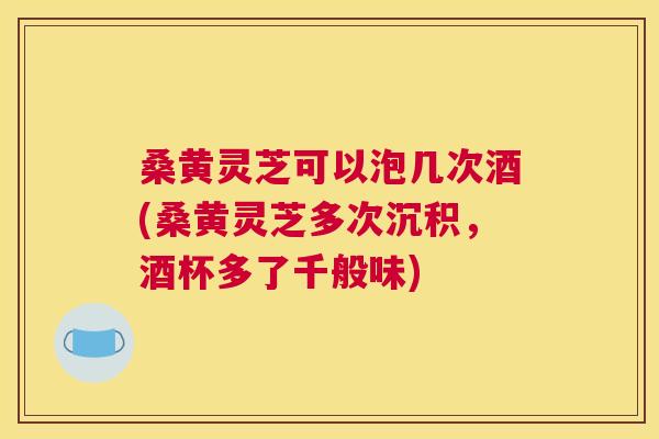桑黄灵芝可以泡几次酒(桑黄灵芝多次沉积,酒杯多了千般味) 桑黄灵芝可以泡几次酒(桑黄灵芝多次沉积,酒杯多了千般味)