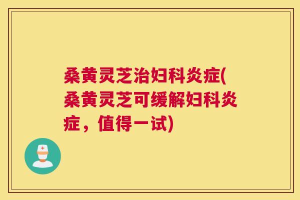 桑黄灵芝(桑黄灵芝可缓解,值得一试) 桑黄灵芝(桑黄灵芝可缓解,值得一试)