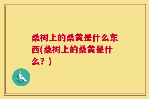 桑树上的桑黄是什么东西(桑树上的桑黄是什么?) 桑树上的桑黄是什么东西(桑树上的桑黄是什么?)