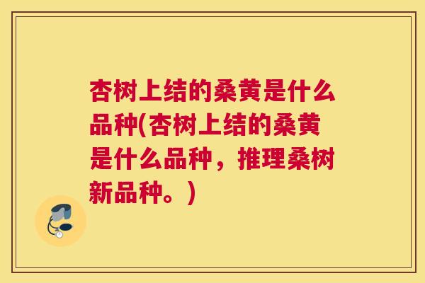 杏树上结的桑黄是什么品种(杏树上结的桑黄是什么品种,推理桑树新品种。) 杏树上结的桑黄是什么品种(杏树上结的桑黄是什么品种,推理桑树新品种。)