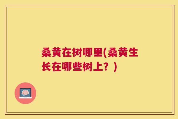 桑黄在树哪里(桑黄生长在哪些树上？)