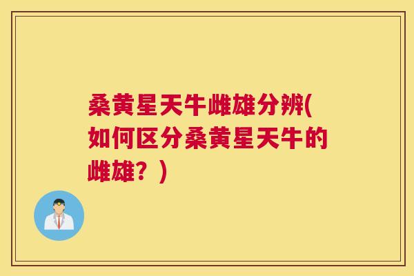 桑黄星天牛雌雄分辨(如何区分桑黄星天牛的雌雄?) 桑黄星天牛雌雄分辨(如何区分桑黄星天牛的雌雄?)