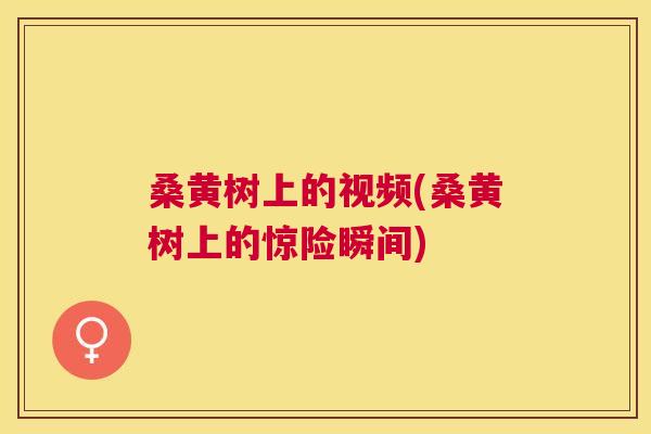 桑黄树上的视频(桑黄树上的惊险瞬间) 桑黄树上的视频(桑黄树上的惊险瞬间)