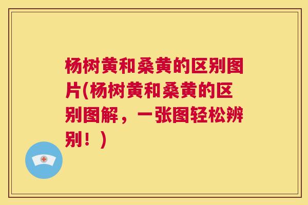 杨树黄和桑黄的区别图片(杨树黄和桑黄的区别图解,一张图轻松辨别!) 杨树黄和桑黄的区别图片(杨树黄和桑黄的区别图解,一张图轻松辨别!)
