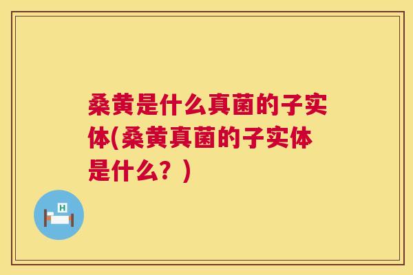 桑黄是什么真菌的子实体(桑黄真菌的子实体是什么?) 桑黄是什么真菌的子实体(桑黄真菌的子实体是什么?)