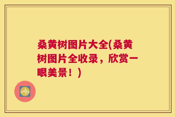 桑黄树图片大全(桑黄树图片全收录,欣赏一眼美景!) 桑黄树图片大全(桑黄树图片全收录,欣赏一眼美景!)