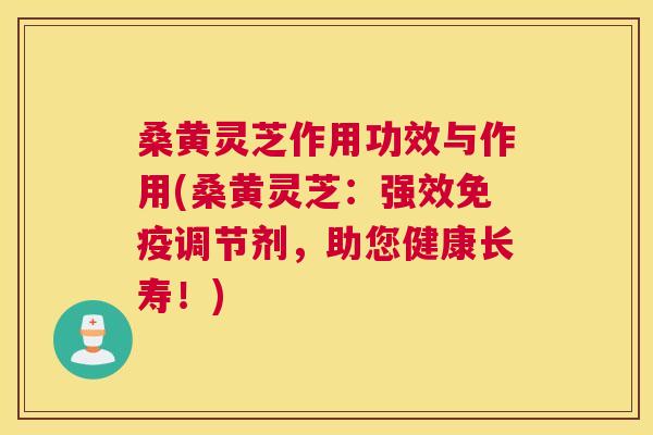 桑黄灵芝作用功效与作用(桑黄灵芝:强效调节剂,助您健康长寿!) 桑黄灵芝作用功效与作用(桑黄灵芝:强效调节剂,助您健康长寿!)