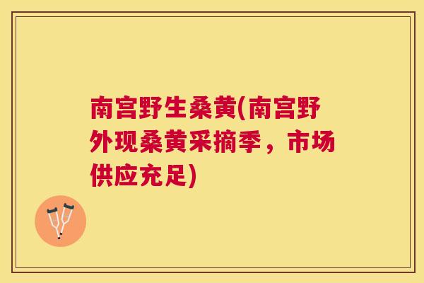 南宫野生桑黄(南宫野外现桑黄采摘季,市场供应充足) 南宫野生桑黄(南宫野外现桑黄采摘季,市场供应充足)