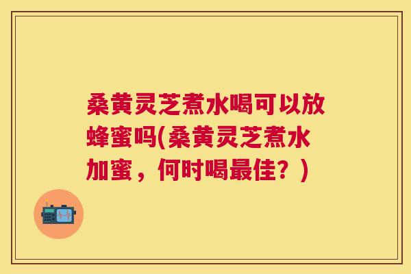 桑黄灵芝煮水喝可以放蜂蜜吗(桑黄灵芝煮水加蜜,何时喝佳?) 桑黄灵芝煮水喝可以放蜂蜜吗(桑黄灵芝煮水加蜜,何时喝佳?)
