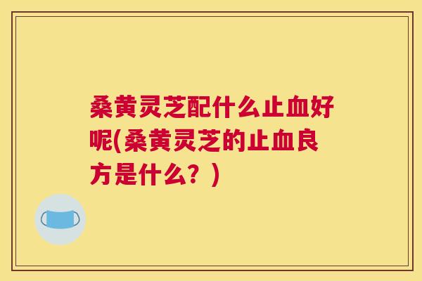 桑黄灵芝配什么止好呢(桑黄灵芝的止良方是什么？)