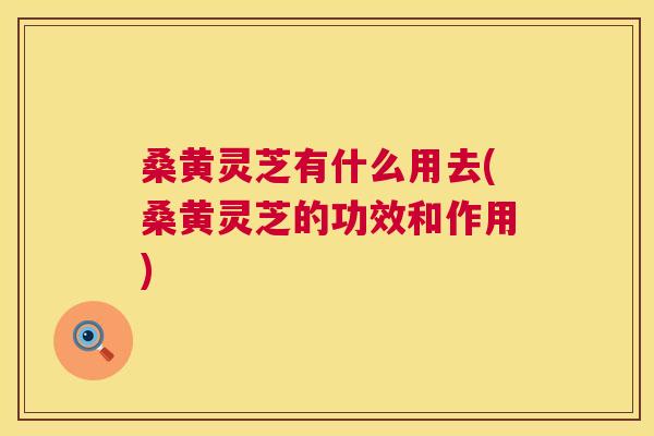桑黄灵芝有什么用去(桑黄灵芝的功效和作用) 桑黄灵芝有什么用去(桑黄灵芝的功效和作用)