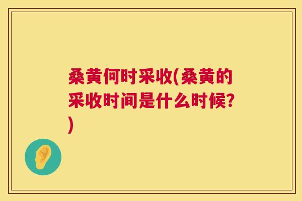 桑黄何时采收(桑黄的采收时间是什么时候?) 桑黄何时采收(桑黄的采收时间是什么时候?)