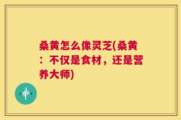 桑黄怎么像灵芝(桑黄:不仅是食材,还是营养大师) 桑黄怎么像灵芝(桑黄:不仅是食材,还是营养大师)