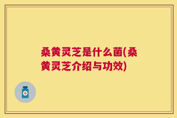 桑黄灵芝是什么菌(桑黄灵芝介绍与功效) 桑黄灵芝是什么菌(桑黄灵芝介绍与功效)