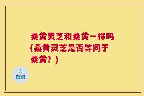 桑黄灵芝和桑黄一样吗(桑黄灵芝是否等同于桑黄?) 桑黄灵芝和桑黄一样吗(桑黄灵芝是否等同于桑黄?)
