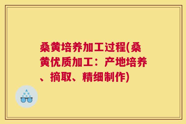 桑黄培养加工过程(桑黄优质加工:产地培养、摘取、精细制作) 桑黄培养加工过程(桑黄优质加工:产地培养、摘取、精细制作)