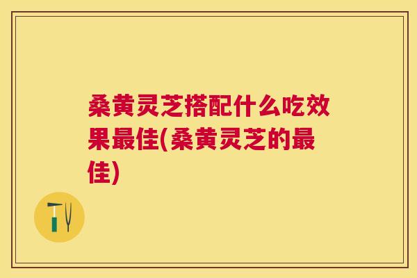 桑黄灵芝搭配什么吃效果佳(桑黄灵芝的佳) 桑黄灵芝搭配什么吃效果佳(桑黄灵芝的佳)