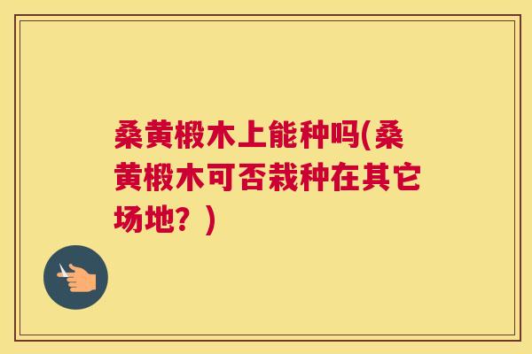 桑黄椴木上能种吗(桑黄椴木可否栽种在其它场地?) 桑黄椴木上能种吗(桑黄椴木可否栽种在其它场地?)
