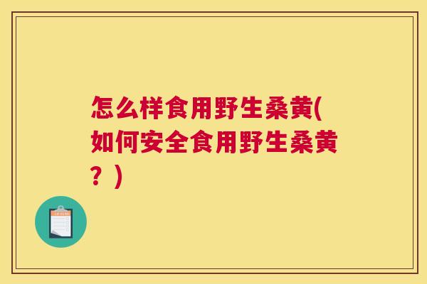 怎么样食用野生桑黄(如何安全食用野生桑黄?) 怎么样食用野生桑黄(如何安全食用野生桑黄?)