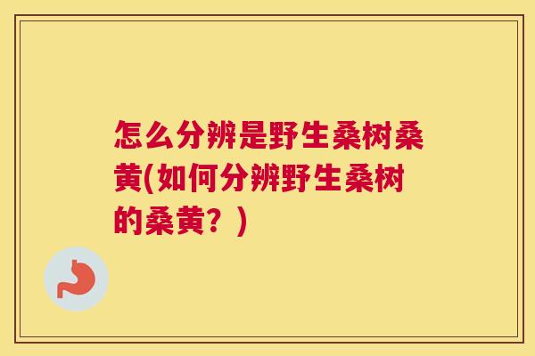 怎么分辨是野生桑树桑黄(如何分辨野生桑树的桑黄?) 怎么分辨是野生桑树桑黄(如何分辨野生桑树的桑黄?)