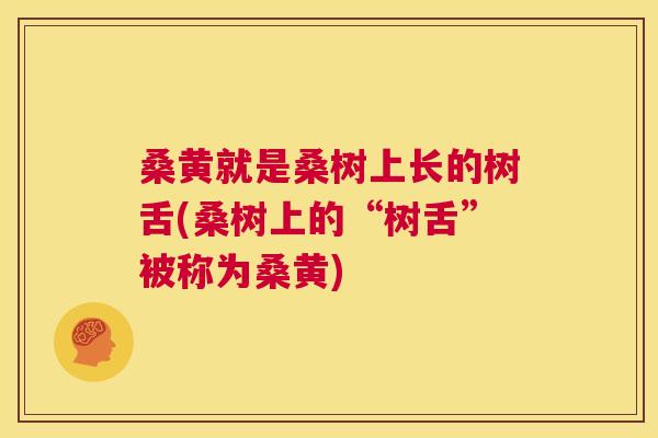 桑黄就是桑树上长的树舌(桑树上的“树舌”被称为桑黄) 桑黄就是桑树上长的树舌(桑树上的“树舌”被称为桑黄)
