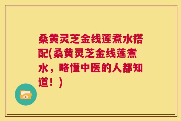 桑黄灵芝金线莲煮水搭配(桑黄灵芝金线莲煮水,略懂中医的人都知道!) 桑黄灵芝金线莲煮水搭配(桑黄灵芝金线莲煮水,略懂中医的人都知道!)