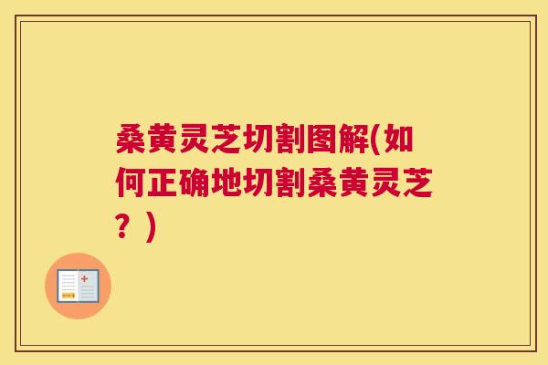 桑黄灵芝切割图解(如何正确地切割桑黄灵芝?) 桑黄灵芝切割图解(如何正确地切割桑黄灵芝?)