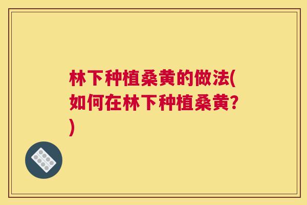 林下种植桑黄的做法(如何在林下种植桑黄?) 林下种植桑黄的做法(如何在林下种植桑黄?)