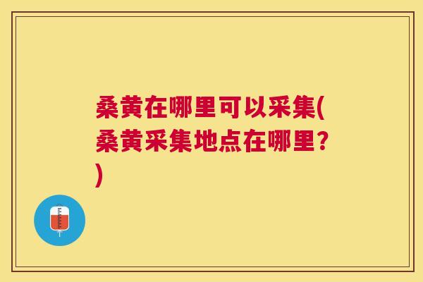 桑黄在哪里可以采集(桑黄采集地点在哪里?) 桑黄在哪里可以采集(桑黄采集地点在哪里?)