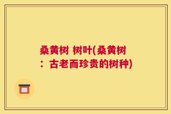 桑黄树 树叶(桑黄树:古老而珍贵的树种) 桑黄树 树叶(桑黄树:古老而珍贵的树种)