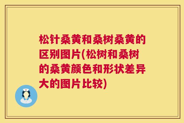 松针桑黄和桑树桑黄的区别图片(松树和桑树的桑黄颜色和形状差异大的图片比较) 松针桑黄和桑树桑黄的区别图片(松树和桑树的桑黄颜色和形状差异大的图片比较)