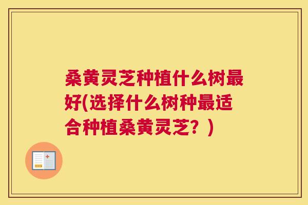 桑黄灵芝种植什么树好(选择什么树种适合种植桑黄灵芝?) 桑黄灵芝种植什么树好(选择什么树种适合种植桑黄灵芝?)