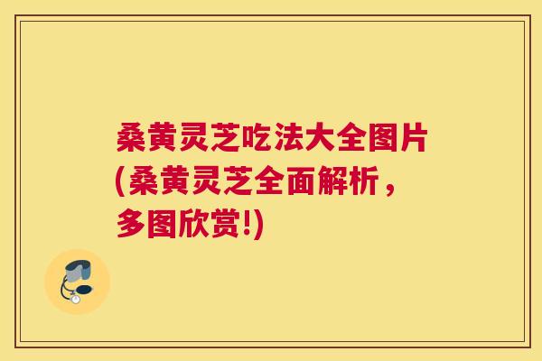 桑黄灵芝吃法大全图片(桑黄灵芝全面解析,多图欣赏!) 桑黄灵芝吃法大全图片(桑黄灵芝全面解析,多图欣赏!)