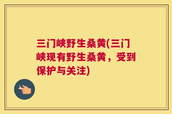 三门峡野生桑黄(三门峡现有野生桑黄，受到保护与关注)