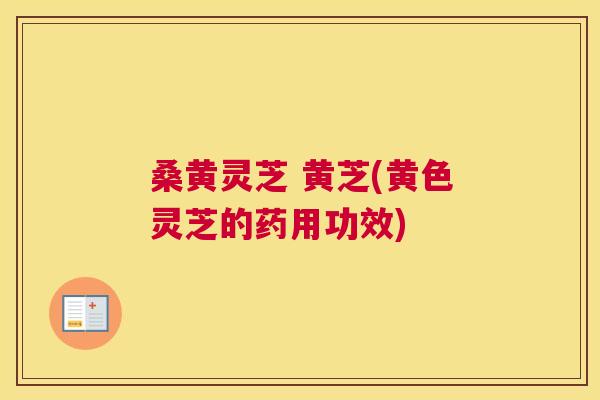 桑黄灵芝 黄芝(黄色灵芝的药用功效) 桑黄灵芝 黄芝(黄色灵芝的药用功效)