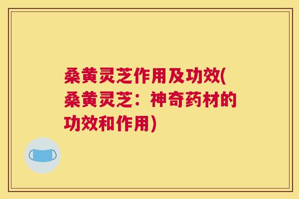桑黄灵芝作用及功效(桑黄灵芝:神奇药材的功效和作用) 桑黄灵芝作用及功效(桑黄灵芝:神奇药材的功效和作用)