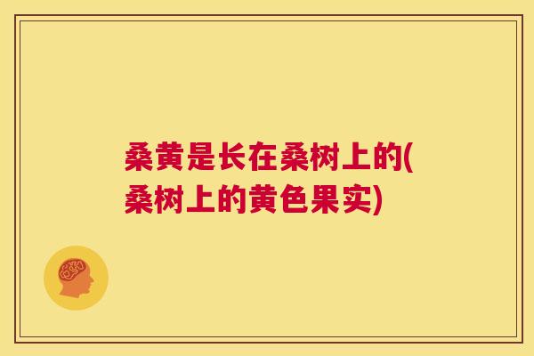 桑黄是长在桑树上的(桑树上的黄色果实) 桑黄是长在桑树上的(桑树上的黄色果实)
